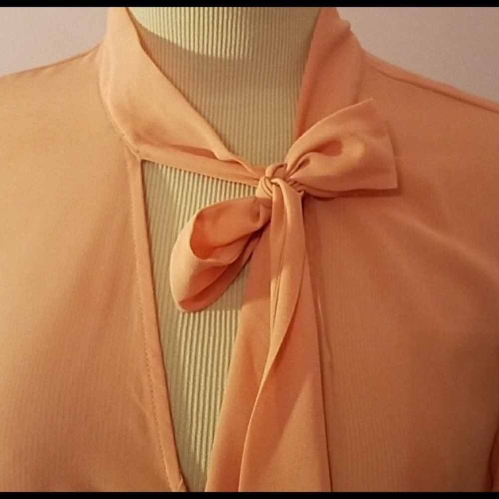 ❌RESERVED/SOLD❌Forever 21 Essentials Sheer Blouse